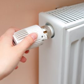 Esenyurt İlaçla Petek Temizliği Esenyurt İlaçla Petek Temizliği